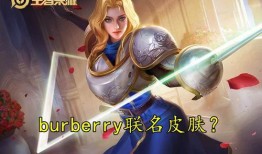 主播爆料夏洛特皮肤视频,主播独家爆料视频大揭秘